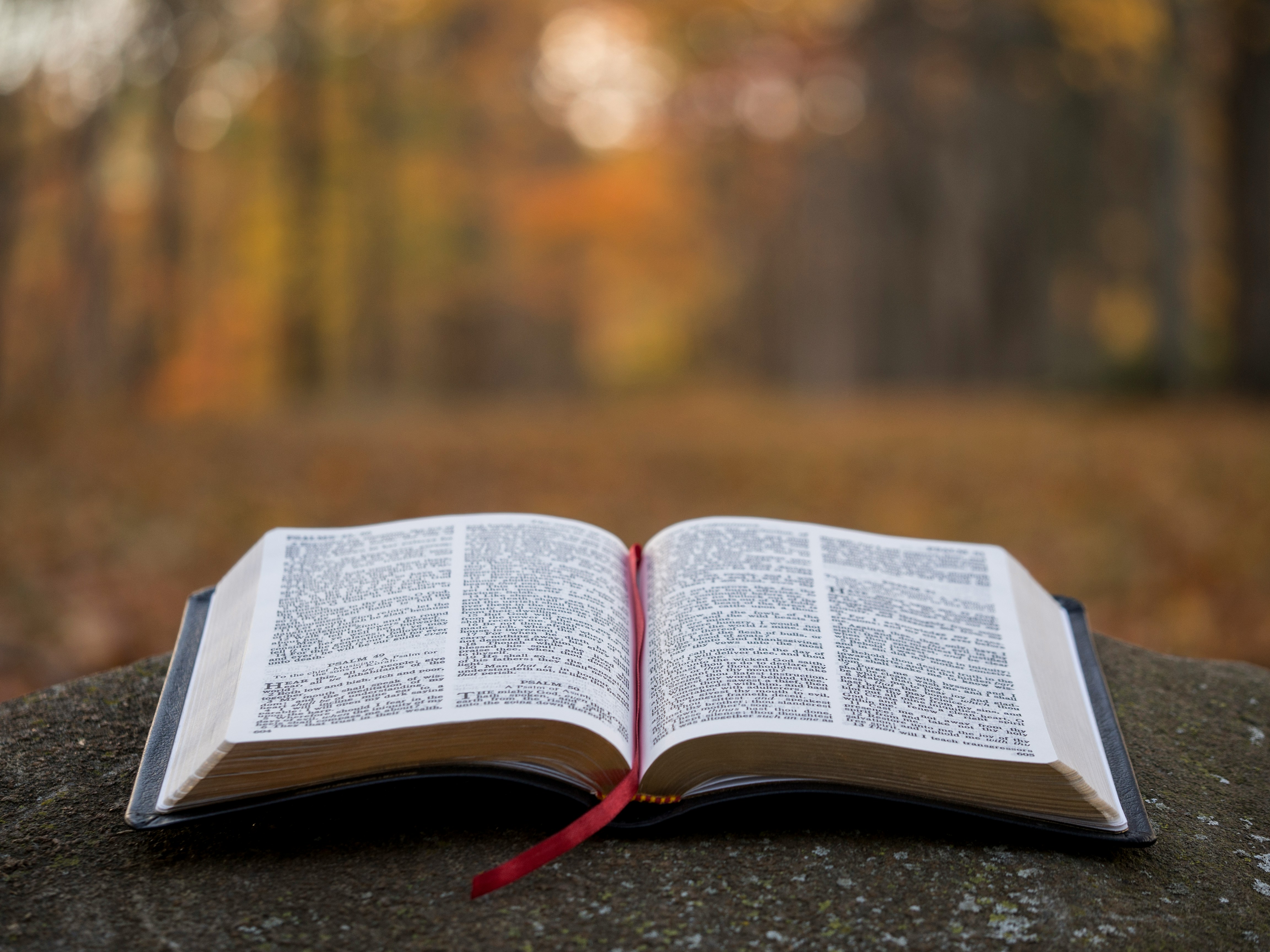 Near-Death Experiences and Religion
